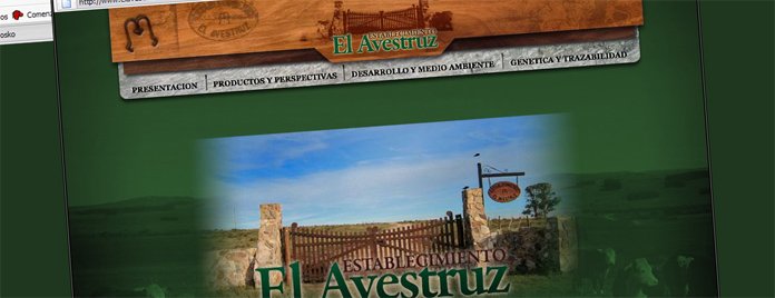 Web Establecimiento El Avestruz