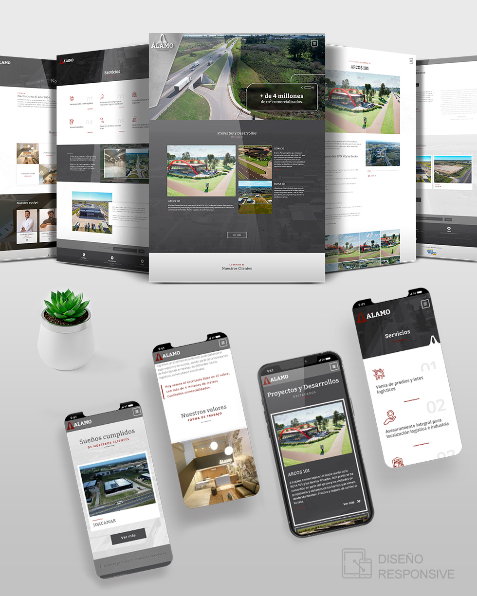 Desarrollo nuevo sitio web