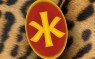 Logo Kenia Projects