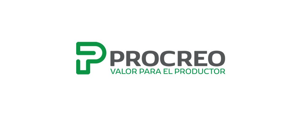 Nueva Identidad corporativa Procreo