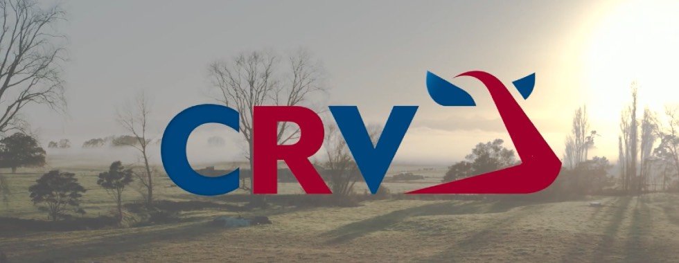 Edición y animación gráfica Procreo / CRV