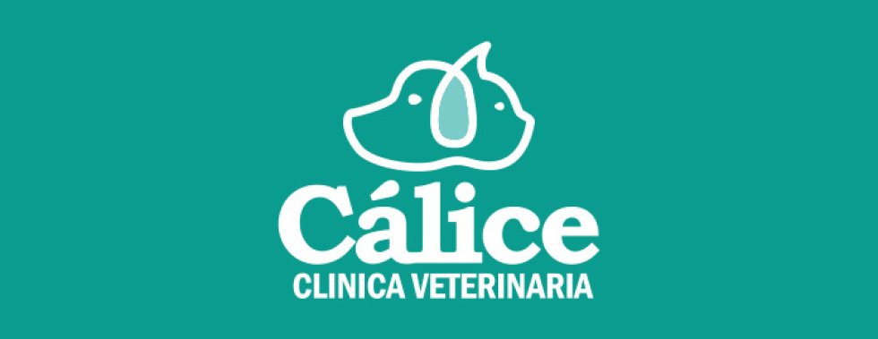 Desarrollo web